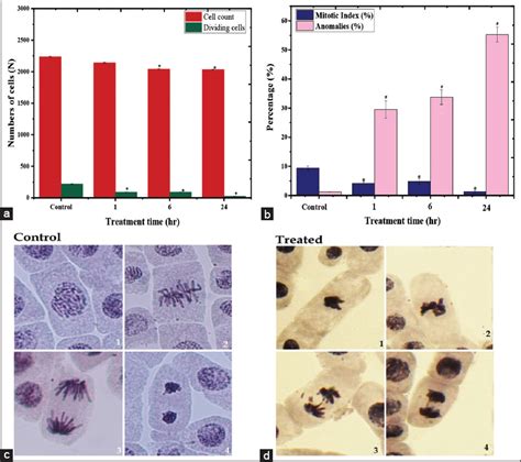 Suppression of the RAGE gene expression in RAW 264.7 murine leukemia ...