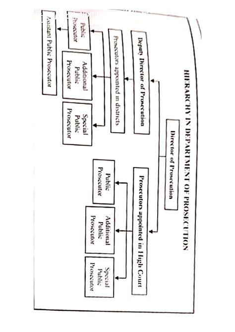Public prosecutor - Studocu