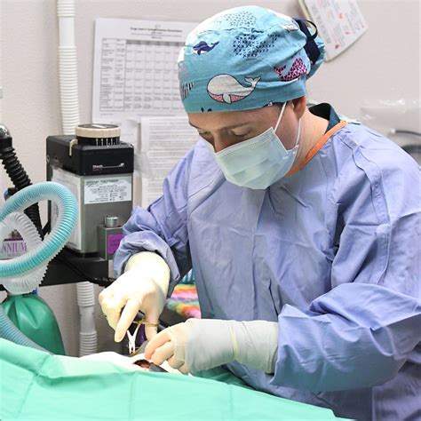 Salem Digital Radiology Project - Oregon Humane Society