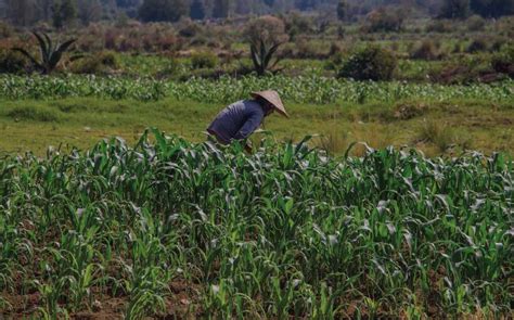 La Influencia Fuera del Campo y el Impacto en la Comunidad