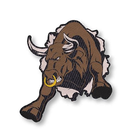 ISEE 360 Bulll Embroidery Applique Patches for Riders Jackets Men Boys ...