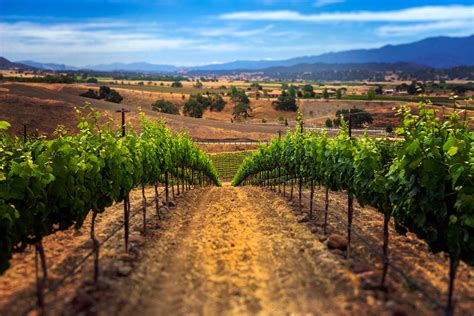 Santa Barbara County | Wine Origins