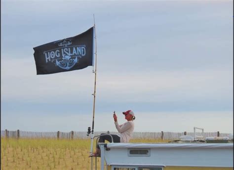 Hog Island Beer Company