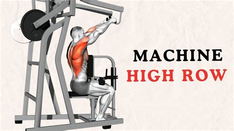Upper Back Machine Row 的图像结果