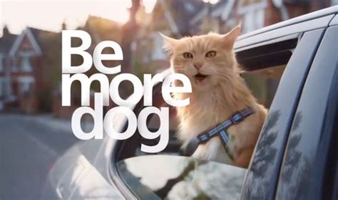 Image result for O2 Duck Advert