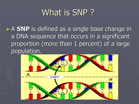 Image result for SNP Examples in Bio