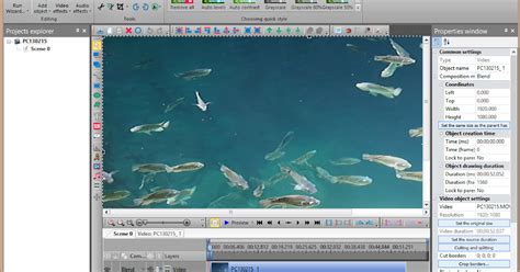 Vsdc Tutorial Muting Sound 的图像结果