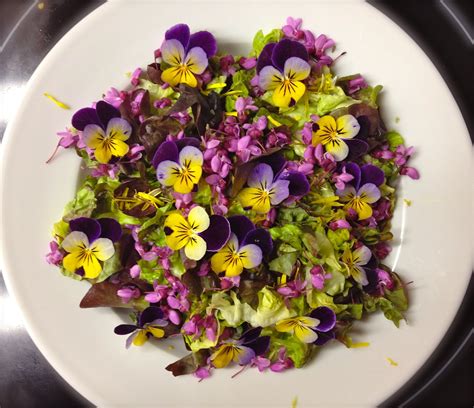 How To Store Fresh Edible Flowers at Alex Cruz blog