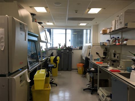 Cell Room Lab Design 的图像结果