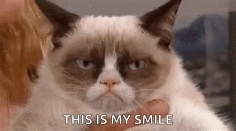 Image result for Grumpy Cat Smiling