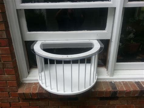 Image result for Best Cat Window Boxes