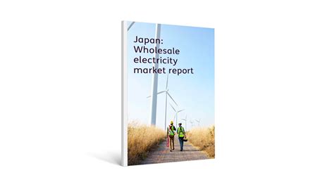 Japan: Wholesale electricity market report | Baringa