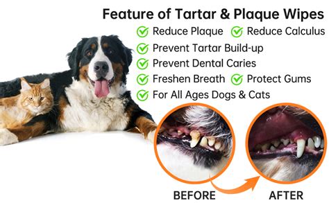 Core Clean Pet Tooth and Gum Pad Wipes Oral Cleansing Teeth Wipe Pads ...