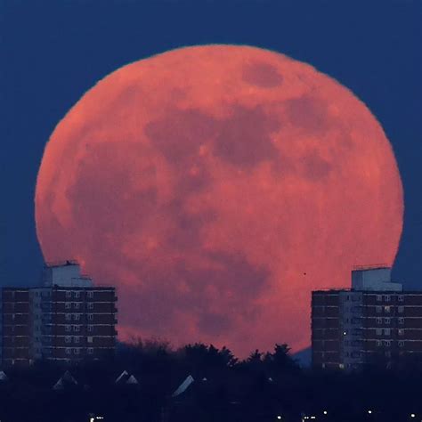 Four Blood Moons Fathom