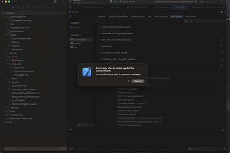 Flutter in Xcode 的图像结果