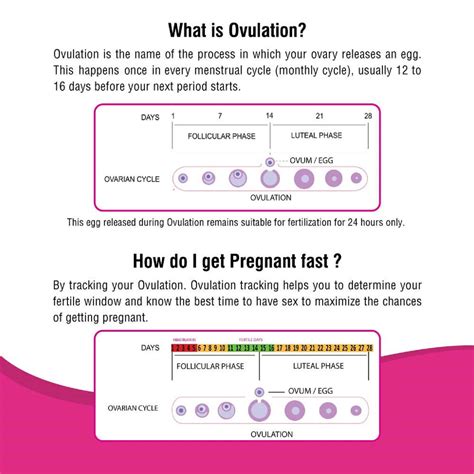 Buy I-KNOW OVULATION TESTING STRIPS | FOR WOMEN PLANNING PREGNANCY, 5 ...
