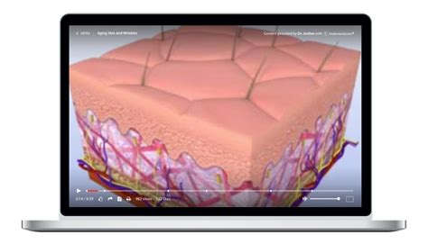 Aging Animation 的图像结果