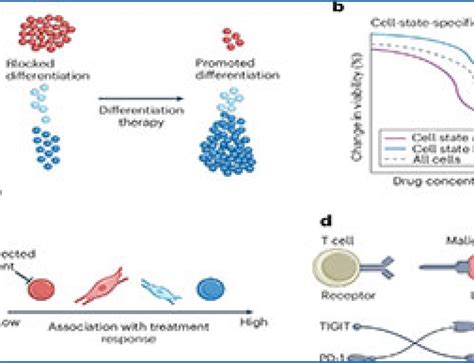 RNA Sequencing Method 的图像结果