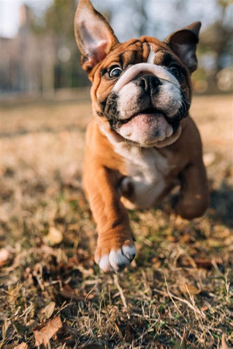 The Landings at Pembroke LakesPembroke Pines , FL | Welcome Home