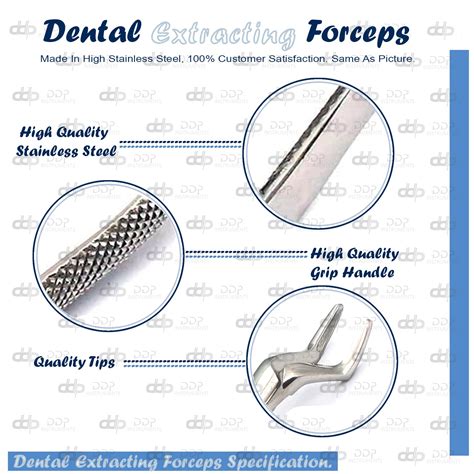 Buy DDP New EXTRACTING Forceps 65 Dental Instruments Online at Lowest ...