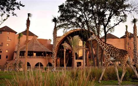 8 Resorts In Orlando Hosting The Best Stay In The Disney World Backyard