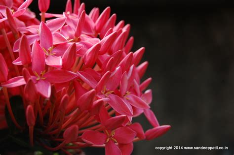 Photo Gallery | Mindblogs... Zero, Infinity and in between | Mindblogs ...