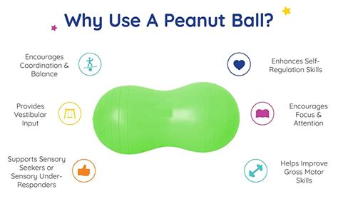 Buy ACUWORLD Peanut Ball - Anti Burst Exercise Ball for Labor Birthing ...
