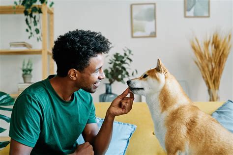 Pet Insurance Virginia