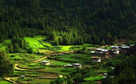 Haa Valley: A Complete Guide To North East India's Hidden Jewel