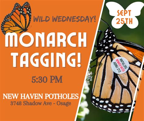 Monarch Tagging Program 的图像结果