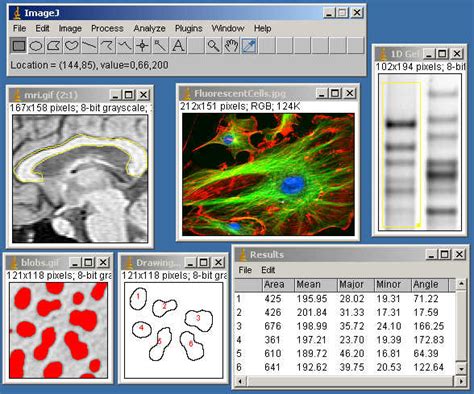 Image result for ImageJ Software Java Version 8