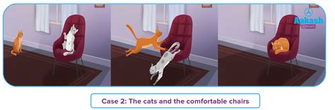 Factors Affecting SN1 and SN2: Nature of the Substrate, Nucleophile ...