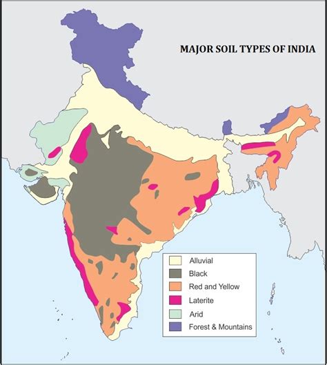 Mark the major soil types in india in a political map.a and write any ...