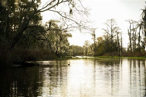 Secrets Hidden In Louisiana's Bayou Cane | TouristSecrets