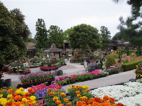 Late to the Garden Party: Nursery Visit: Roger's Gardens