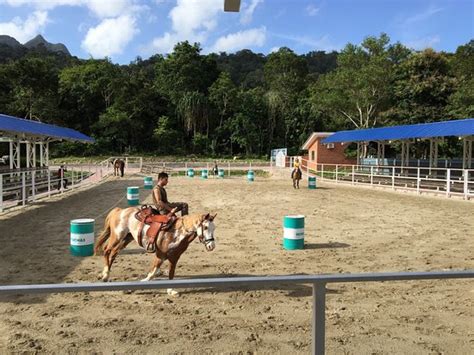 Island Horses (Langkawi) - 2020 What to Know Before You Go (with Photos ...