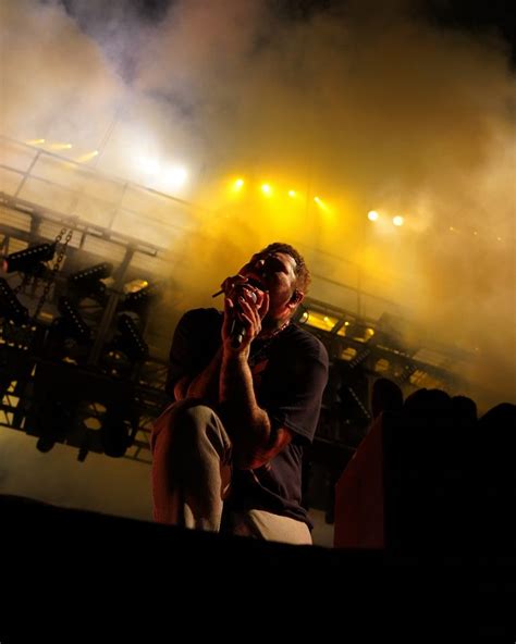 Image result for Massive Exploding Zits 2019