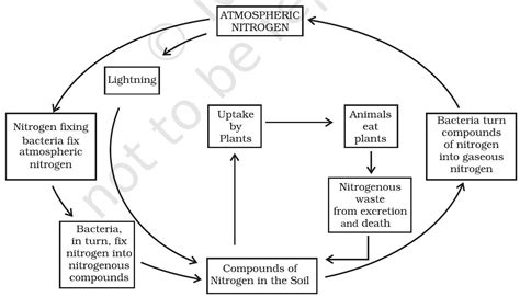 SATHEE: Chapter 02 Microorganisms: Friend and Foe