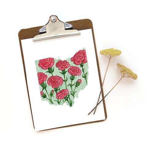 Ohio State Flower Carnation Print – Sketchy Notions