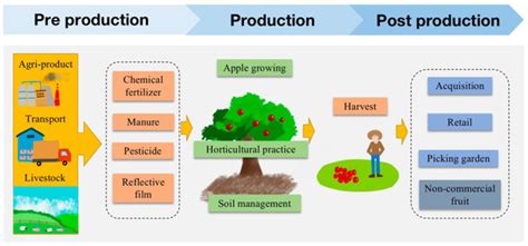 Integrated Horticultural Practices for Improving Apple Supply Chain ...