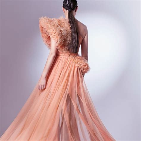 Pleated Lace And Tulle Dress