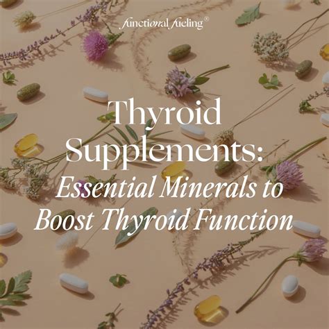 Thyroid Supplements: Essential Minerals to Boost Thyroid Function