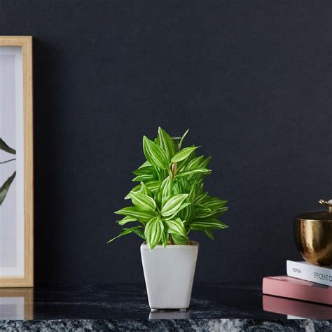 Buy Fiesta Tulip Artificial Plant in Ceramic Pot from Home Centre at ...