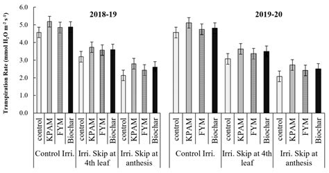 The Use of Soil Conditioners to Ensure a Sustainable Wheat Yield under ...