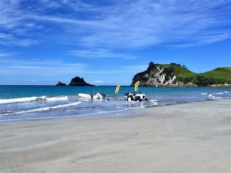 THE BEST Coromandel Hotels with Air Conditioning 2025 (with Prices)