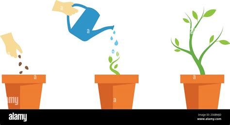 Life Process 的图像结果