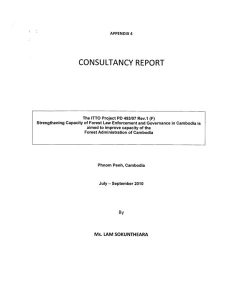 Consulting Paper Example 的图像结果