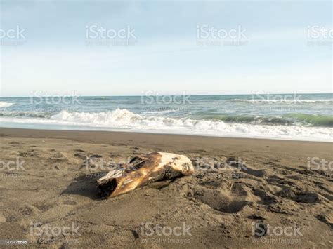 Amazing Views Adventure 的图像结果