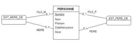 Schema Conceptuel 的图像结果