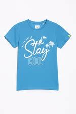 Buy Boys Blue Regular Fit Printed Crew Neck T-shirt Online - 39687627 ...